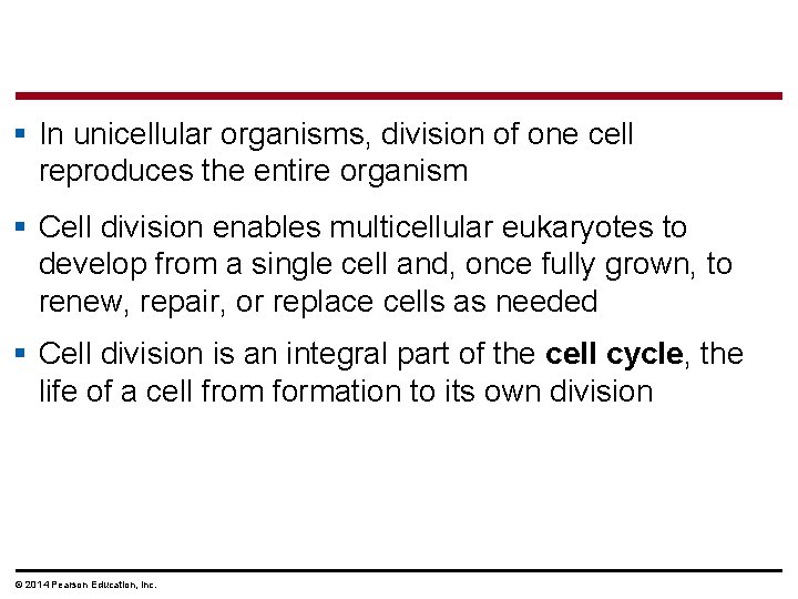 § In unicellular organisms, division of one cell reproduces the entire organism § Cell