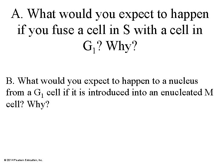 A. What would you expect to happen if you fuse a cell in S A. What would you expect to happen if you fuse a cell in S