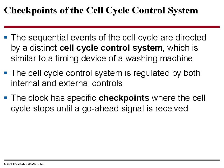 Checkpoints of the Cell Cycle Control System § The sequential events of the cell Checkpoints of the Cell Cycle Control System § The sequential events of the cell