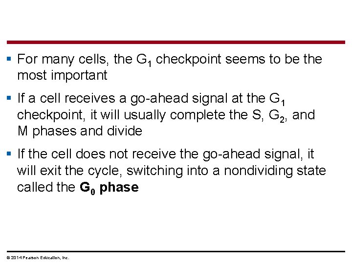 § For many cells, the G 1 checkpoint seems to be the most important