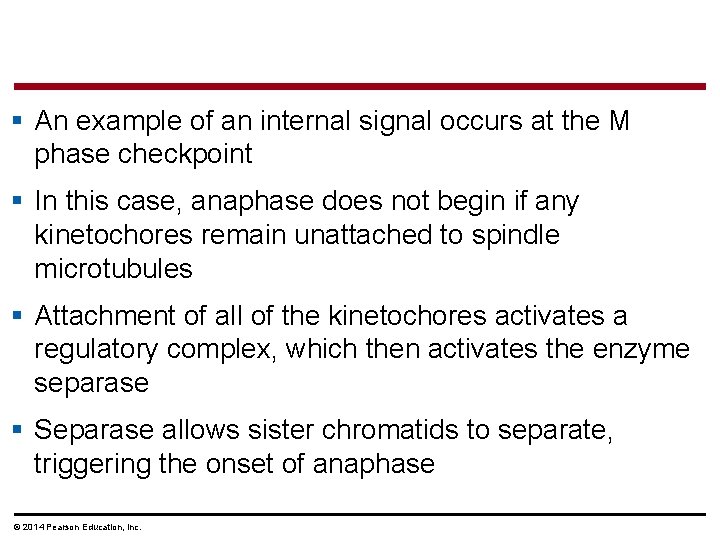 § An example of an internal signal occurs at the M phase checkpoint § § An example of an internal signal occurs at the M phase checkpoint §