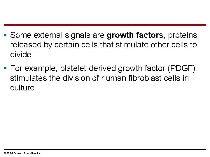 § Some external signals are growth factors, proteins released by certain cells that stimulate