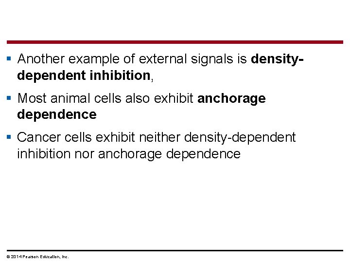§ Another example of external signals is densitydependent inhibition, § Most animal cells also § Another example of external signals is densitydependent inhibition, § Most animal cells also
