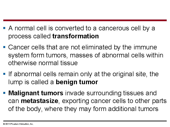 § A normal cell is converted to a cancerous cell by a process called