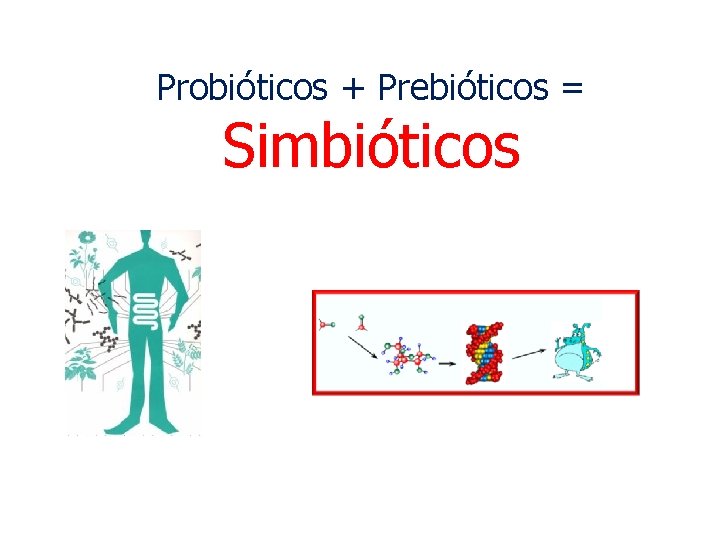 Probióticos + Prebióticos = Simbióticos 