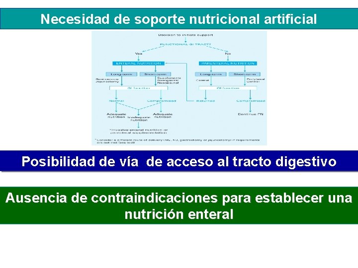 Necesidad de soporte nutricional artificial Posibilidad de vía de acceso al tracto digestivo Ausencia