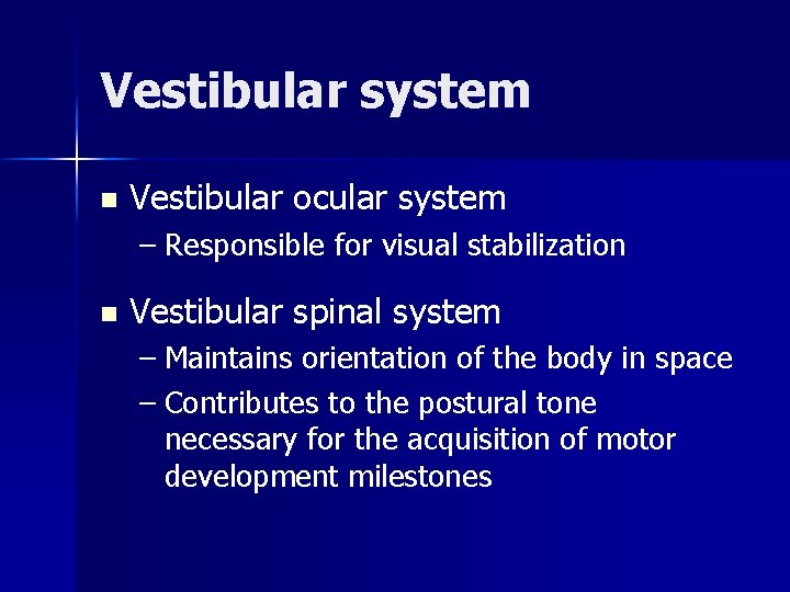 Vestibular system n Vestibular ocular system – Responsible for visual stabilization n Vestibular spinal