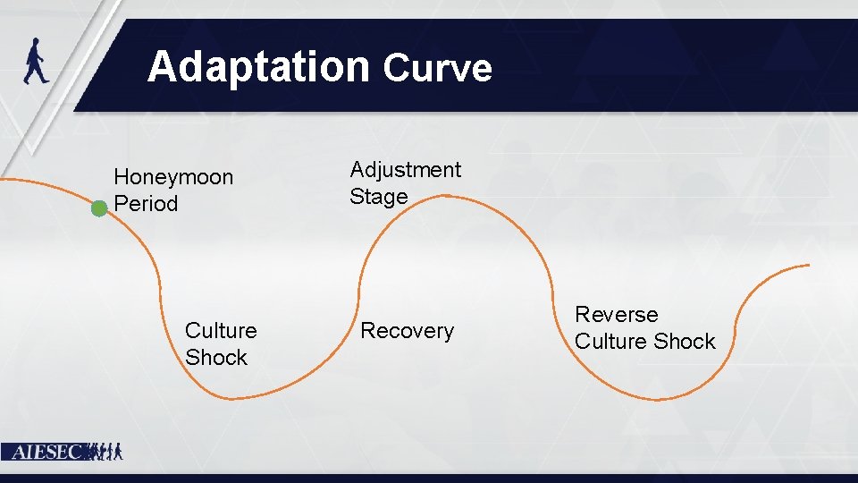 Adaptation Curve Honeymoon Period Culture Shock Adjustment Stage Recovery Reverse Culture Shock 