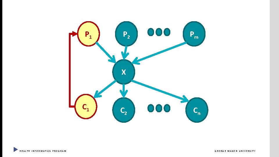 P 1 P 2 Pm X C 1 HEALTH INFORMATICS PROGRAM C 2 Cn