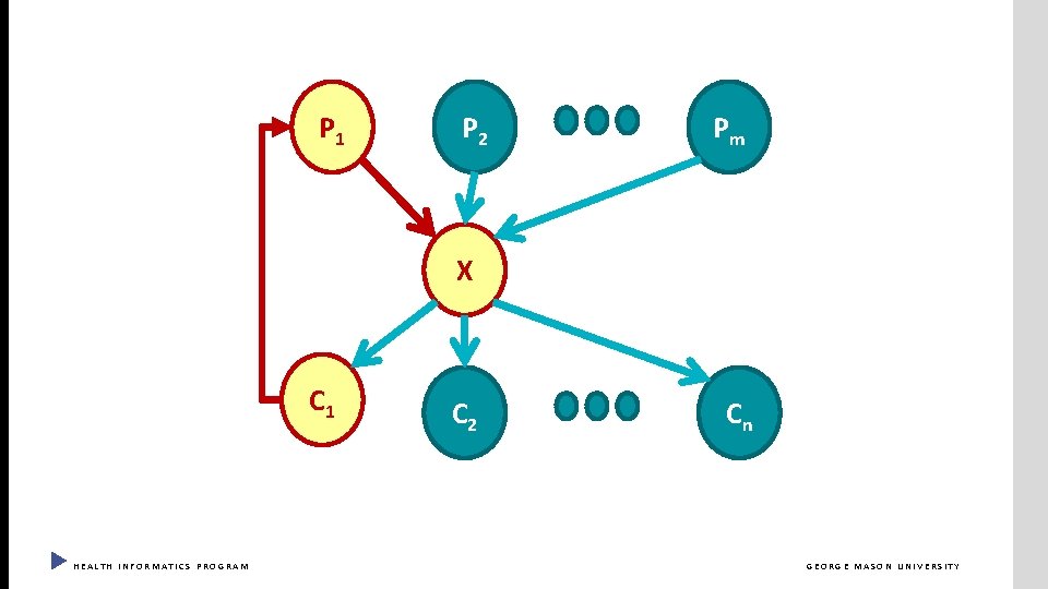 P 1 P 2 Pm X C 1 HEALTH INFORMATICS PROGRAM C 2 Cn