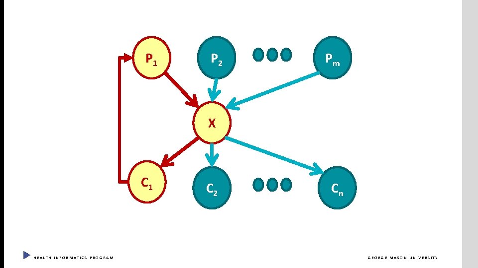 P 1 P 2 Pm X C 1 HEALTH INFORMATICS PROGRAM C 2 Cn