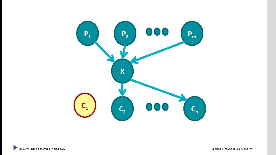 P 1 P 2 Pm X C 1 HEALTH INFORMATICS PROGRAM C 2 Cn
