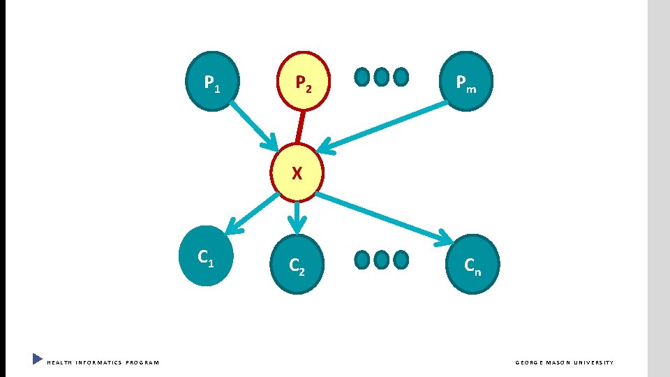 P 1 P 2 Pm X C 1 HEALTH INFORMATICS PROGRAM C 2 Cn