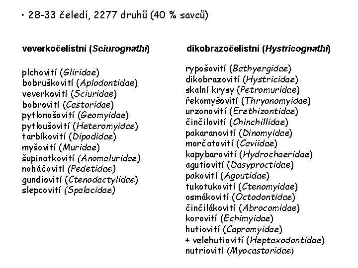  • 28 -33 čeledí, 2277 druhů (40 % savců) veverkočelistní (Sciurognathi) dikobrazočelistní (Hystricognathi)