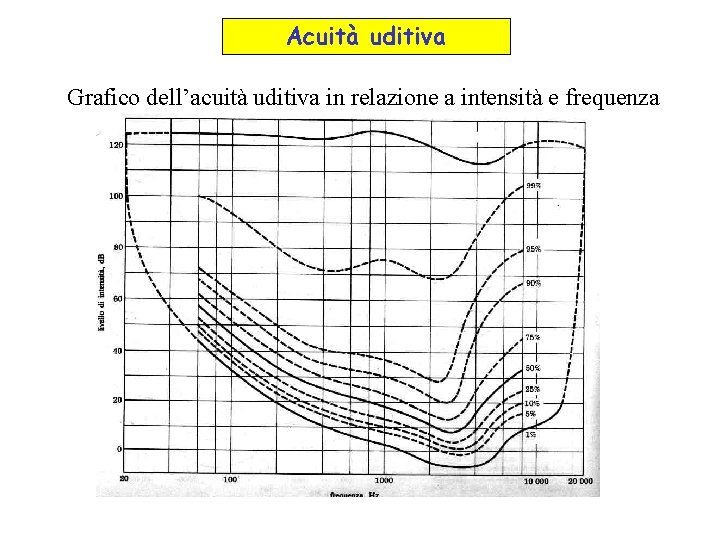 Acuità uditiva Grafico dell’acuità uditiva in relazione a intensità e frequenza 