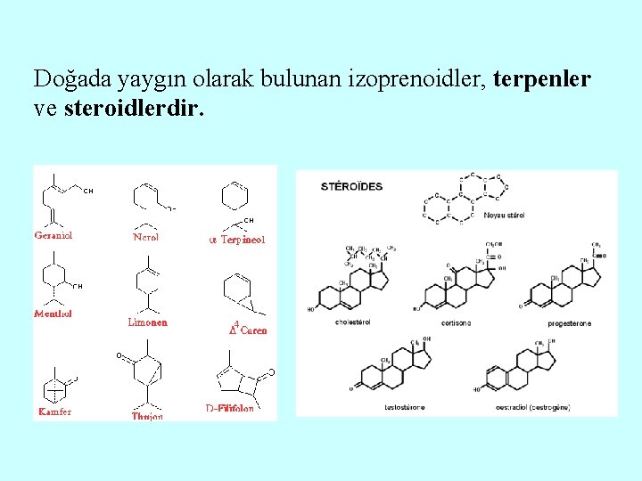 Doğada yaygın olarak bulunan izoprenoidler, terpenler ve steroidlerdir. 