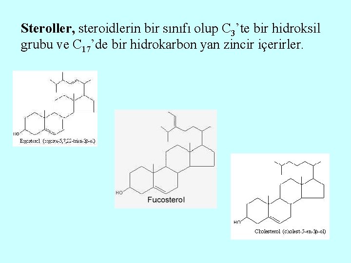 Steroller, steroidlerin bir sınıfı olup C 3’te bir hidroksil grubu ve C 17’de bir