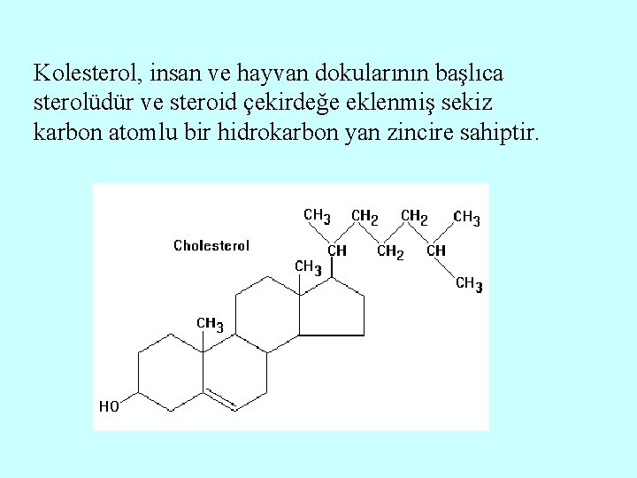 Kolesterol, insan ve hayvan dokularının başlıca sterolüdür ve steroid çekirdeğe eklenmiş sekiz karbon atomlu