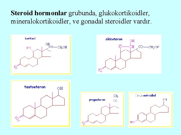 Steroid hormonlar grubunda, glukokortikoidler, mineralokortikoidler, ve gonadal steroidler vardır. 