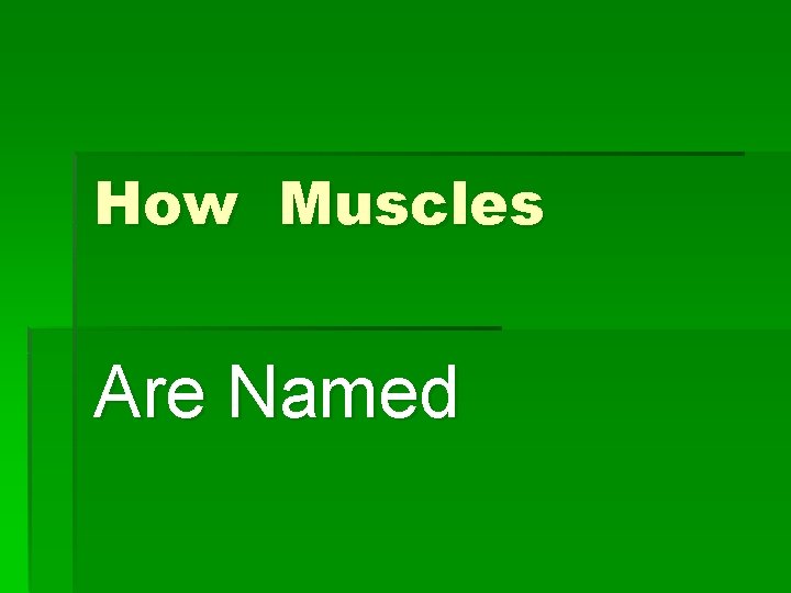 How Muscles Are Named 