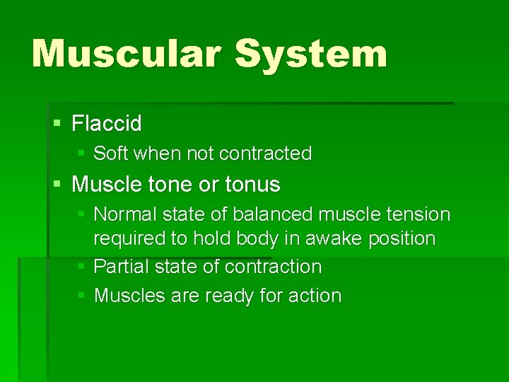 Muscular System § Flaccid § Soft when not contracted § Muscle tone or tonus