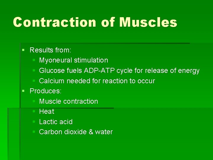 Contraction of Muscles § Results from: § Myoneural stimulation § Glucose fuels ADP-ATP cycle