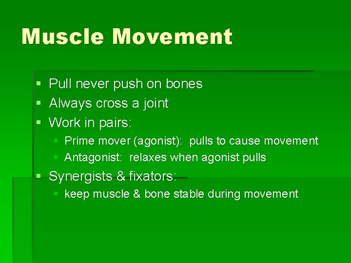 Muscle Movement § Pull never push on bones § Always cross a joint §