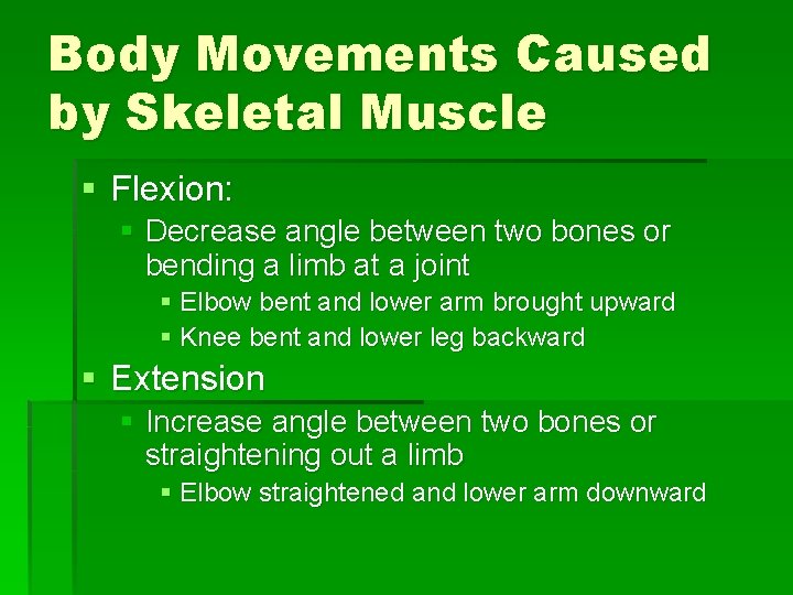 Body Movements Caused by Skeletal Muscle § Flexion: § Decrease angle between two bones