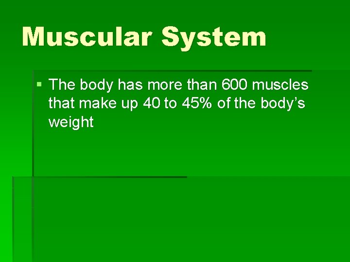 Muscular System § The body has more than 600 muscles that make up 40