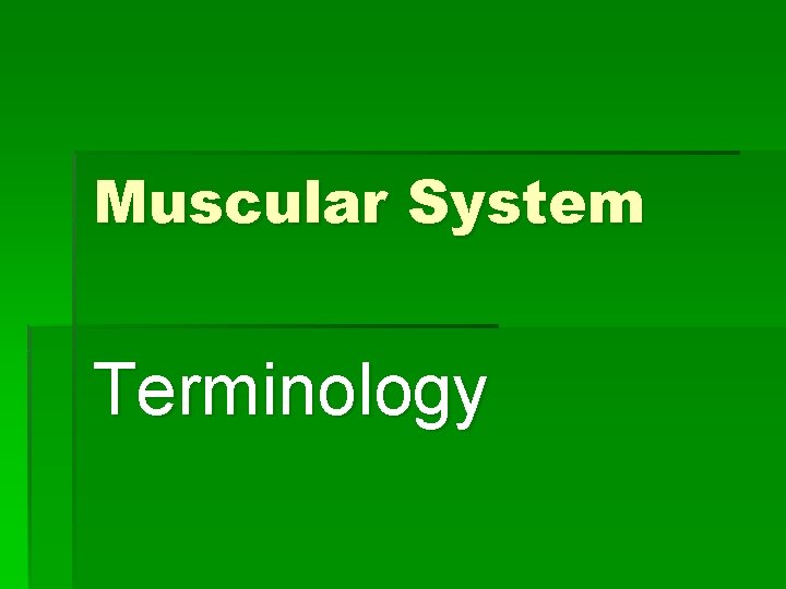 Muscular System Terminology 