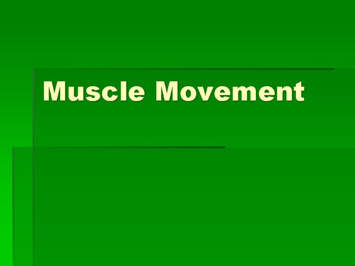 Muscle Movement 