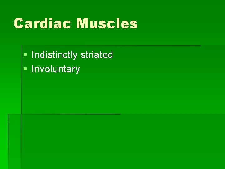 Cardiac Muscles § Indistinctly striated § Involuntary 
