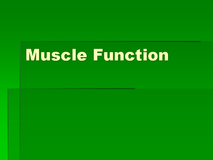 Muscle Function 