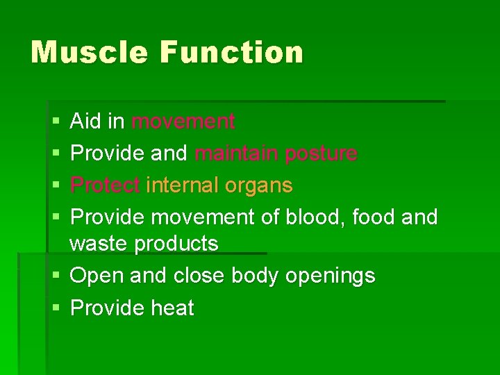 Muscle Function § § Aid in movement Provide and maintain posture Protect internal organs
