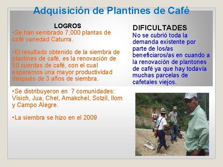 Adquisición de Plantines de Café LOGROS • Se han sembrado 7, 000 plantas de