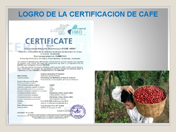 LOGRO DE LA CERTIFICACION DE CAFE 