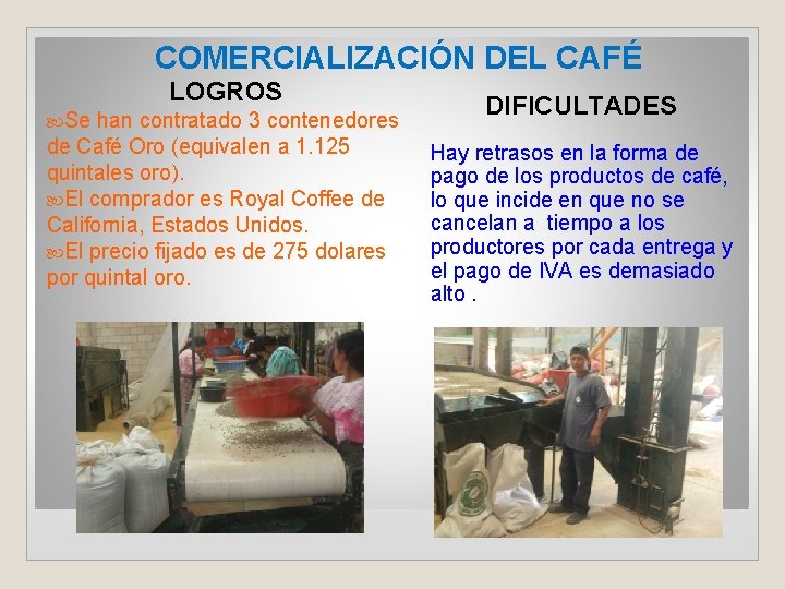 COMERCIALIZACIÓN DEL CAFÉ LOGROS Se han contratado 3 contenedores de Café Oro (equivalen a