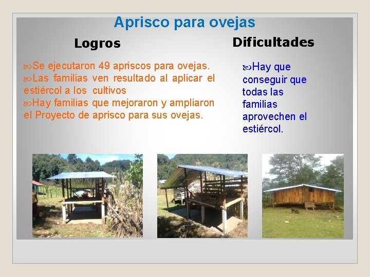 Aprisco para ovejas Logros Se ejecutaron 49 Las familias ven apriscos para ovejas. resultado