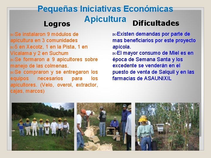 Pequeñas Iniciativas Económicas Apicultura Dificultades Logros Se instalaron 9 módulos de apicultura en 3