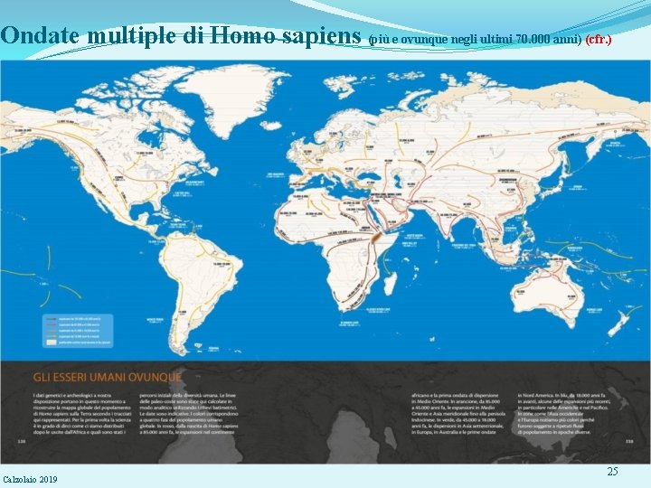 Ondate multiple di Homo sapiens (più e ovunque negli ultimi 70. 000 anni) (cfr.