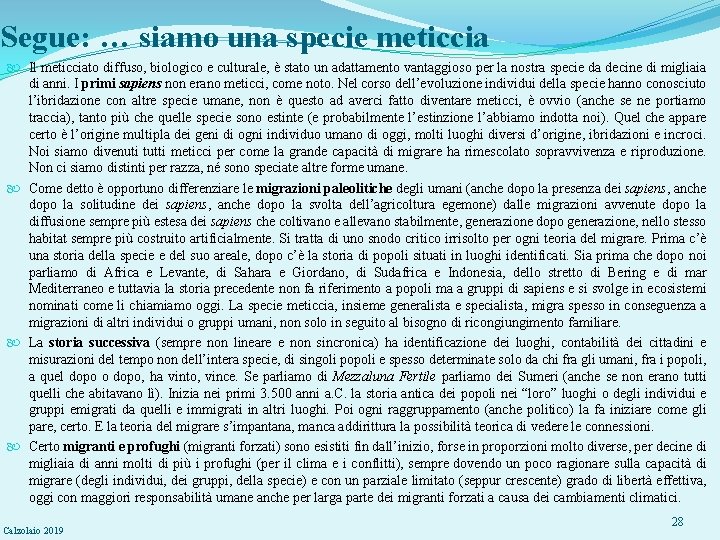 Segue: … siamo una specie meticcia Il meticciato diffuso, biologico e culturale, è stato