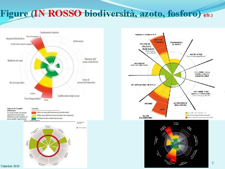 Figure (IN ROSSO biodiversità, azoto, fosforo) (cfr. ) Calzolaio 2019 7 