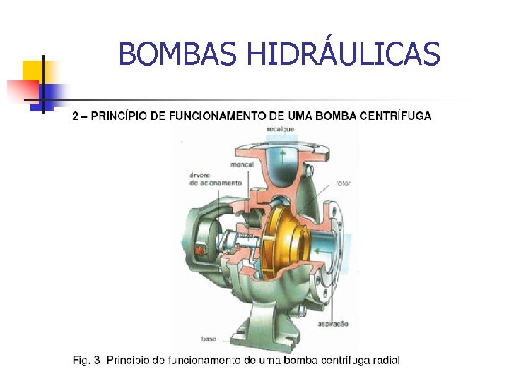 BOMBAS HIDRÁULICAS 