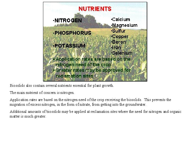 Biosolids also contain several nutrients essential for plant growth. The main nutrient of concern