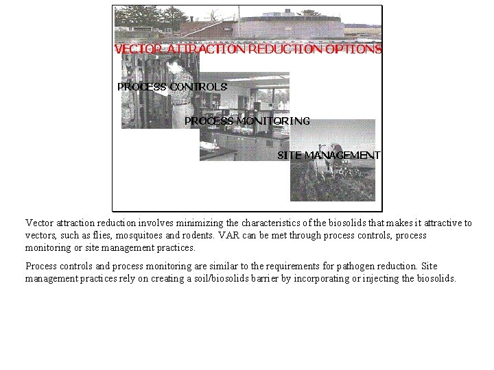 Vector attraction reduction involves minimizing the characteristics of the biosolids that makes it attractive