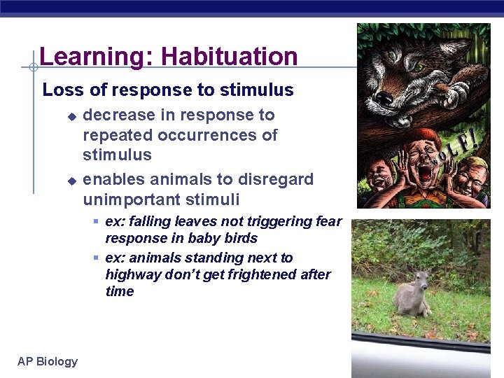 Learning: Habituation Loss of response to stimulus u u decrease in response to repeated