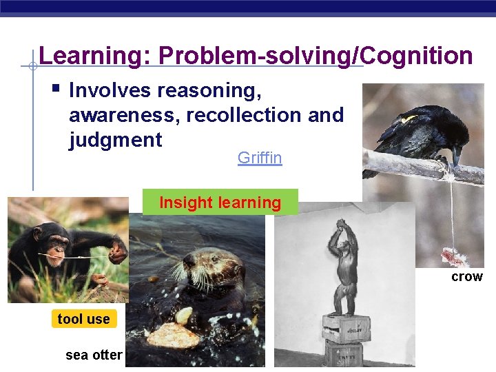 Learning: Problem-solving/Cognition § Involves reasoning, awareness, recollection and judgment Griffin Insight learning crow tool