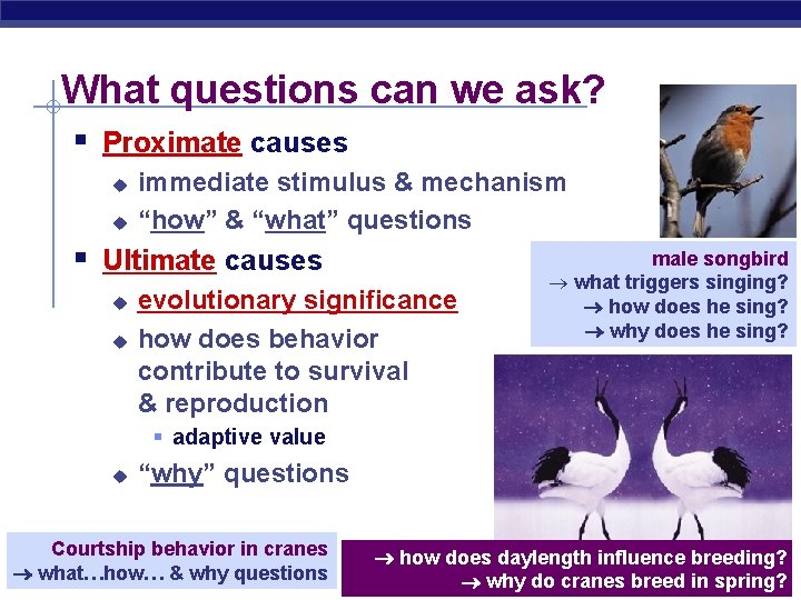 What questions can we ask? § Proximate causes u u immediate stimulus & mechanism