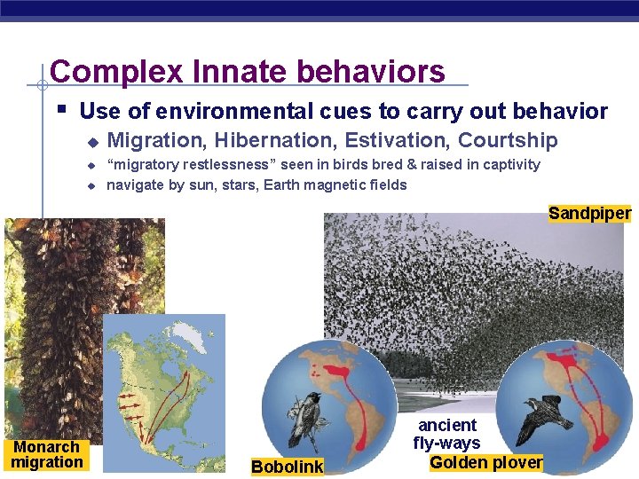 Complex Innate behaviors § Use of environmental cues to carry out behavior u u