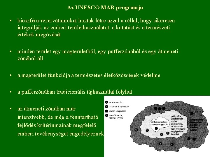 Az UNESCO MAB programja • bioszféra-rezervátumokat hoztak létre azzal a céllal, hogy sikeresen integrálják